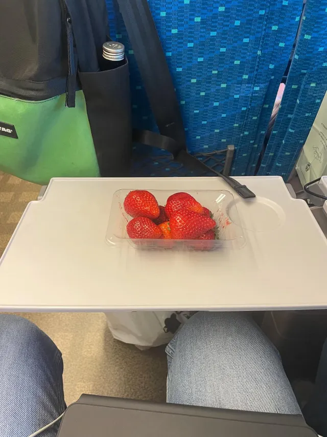 일본 기차에서 음식 좀 먹었는데 민폐일까?
