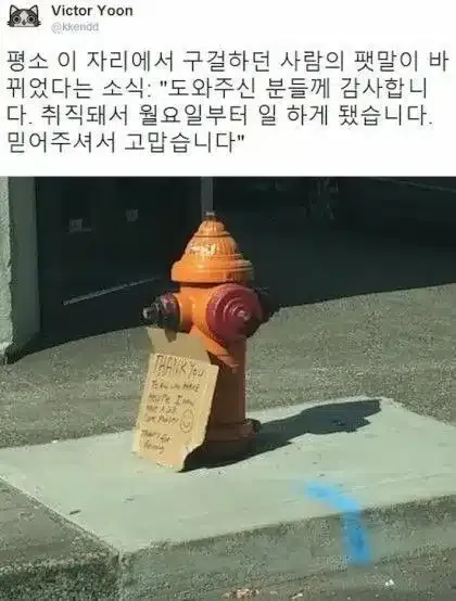 미국 길거리에서 노숙자가 사라진 이유