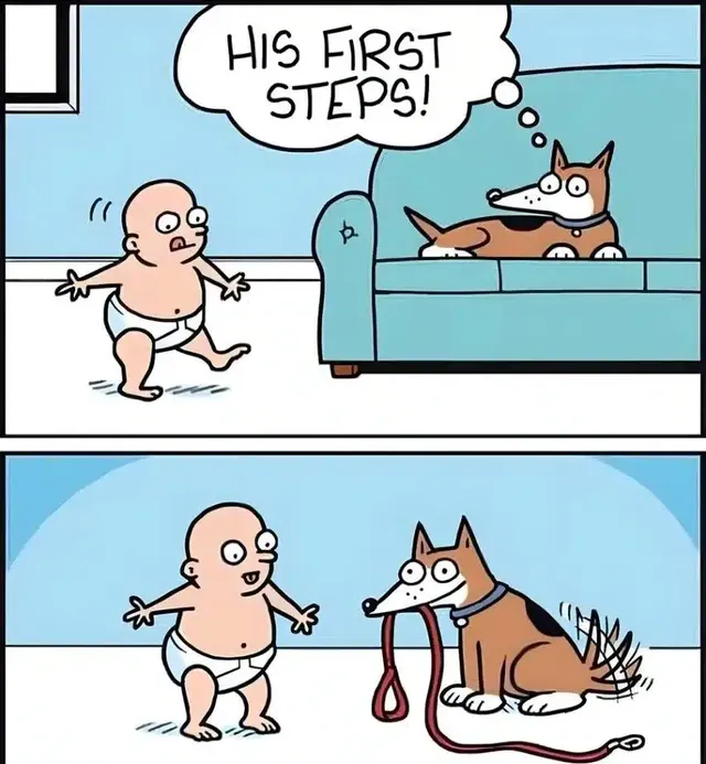 아기의 첫걸음을 본 댕댕이