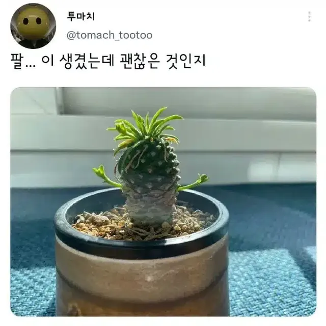 팔...이 생겼는데 괜찮은 것인지...