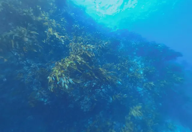 네이버지도의 몰랐던 기능.jpg