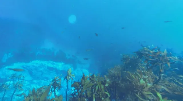 네이버지도의 몰랐던 기능.jpg