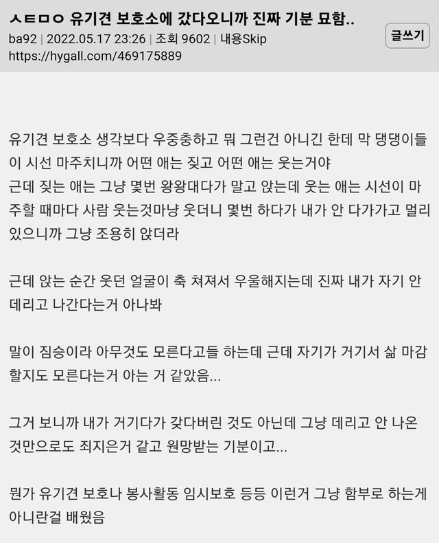 유기견 보호소 다녀왔는데 진짜 기분 묘함.jpg