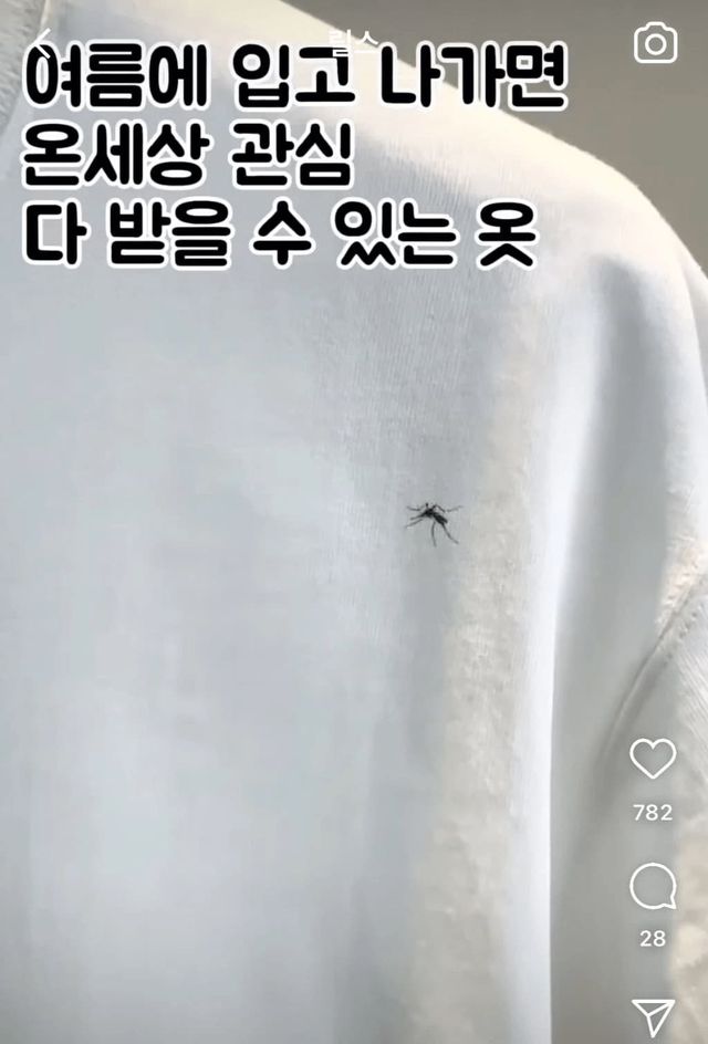 여름에 입고나가면 시선 집중 받을 수 있는 패션아이템