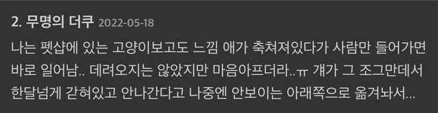 유기견 보호소 다녀왔는데 진짜 기분 묘함.jpg