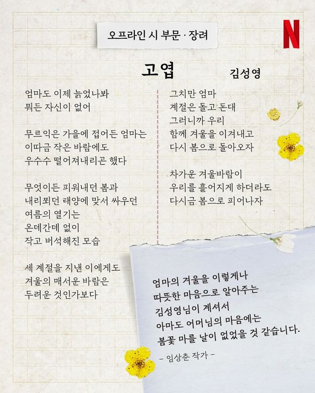 넷플릭스 폭싹 속았수다 봄맞이 백일장 당선작 발표