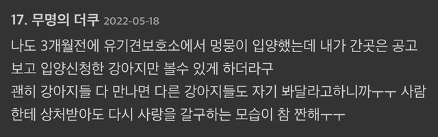 유기견 보호소 다녀왔는데 진짜 기분 묘함.jpg