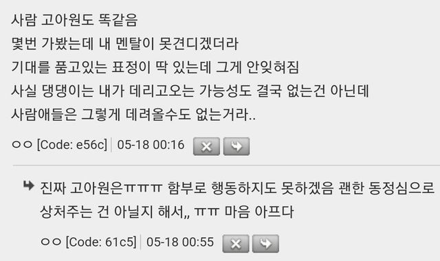 유기견 보호소 다녀왔는데 진짜 기분 묘함.jpg