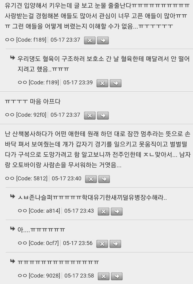 유기견 보호소 다녀왔는데 진짜 기분 묘함.jpg