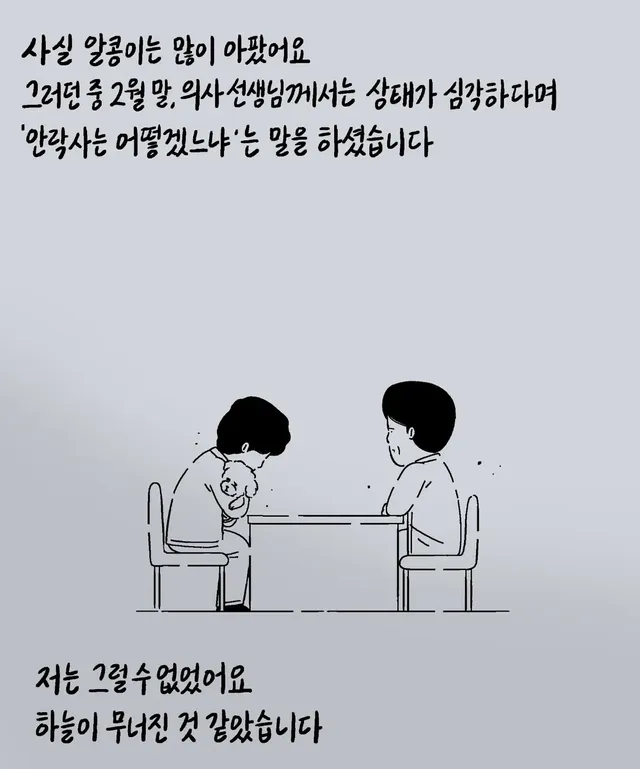 알콩이는 저와 8년을 함께 산 강아지입니다