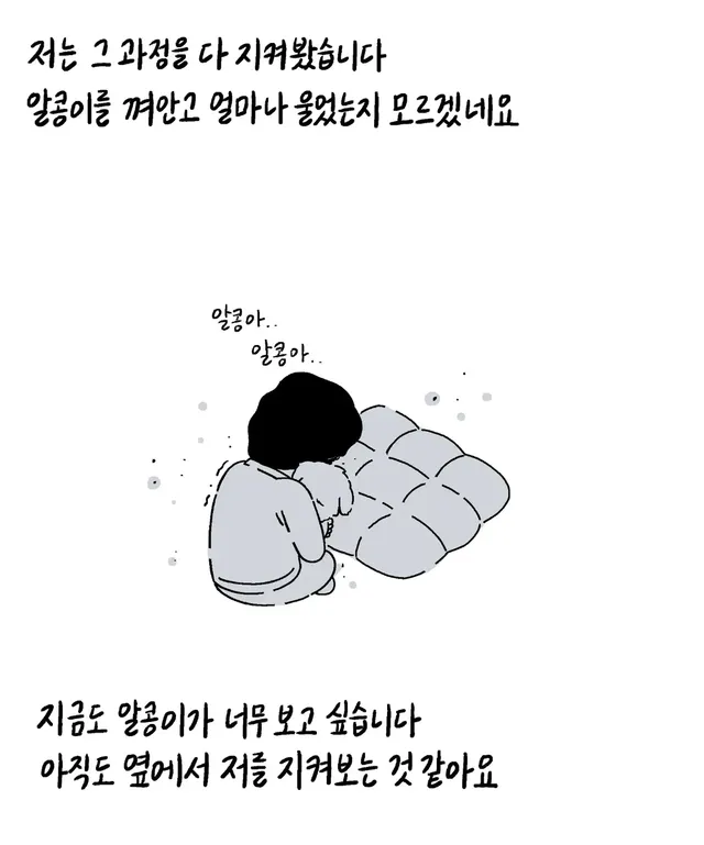 알콩이는 저와 8년을 함께 산 강아지입니다