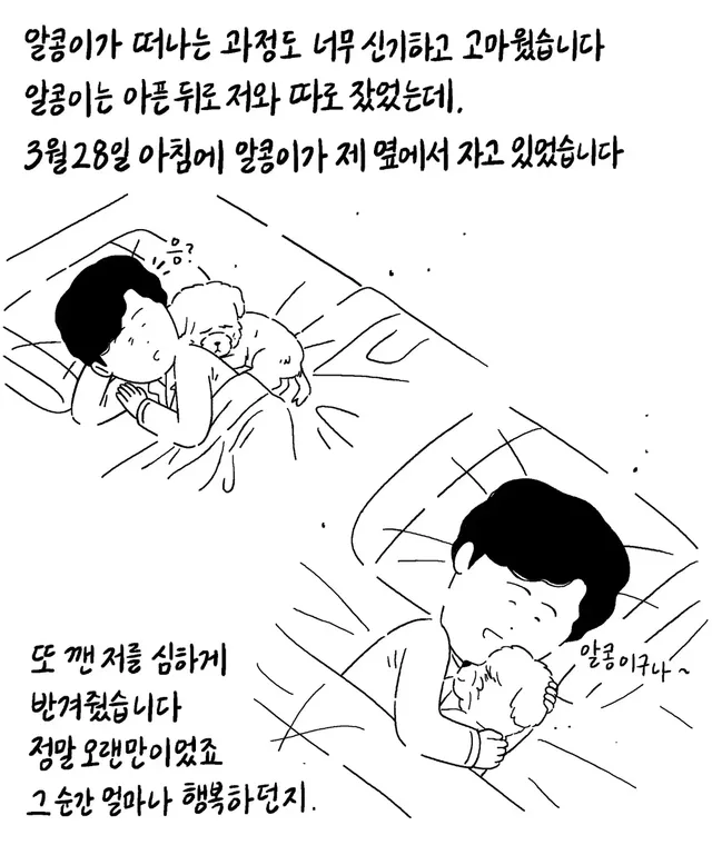 알콩이는 저와 8년을 함께 산 강아지입니다