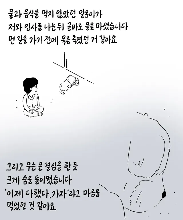 알콩이는 저와 8년을 함께 산 강아지입니다