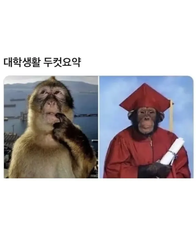 대학생활 두 컷 요약