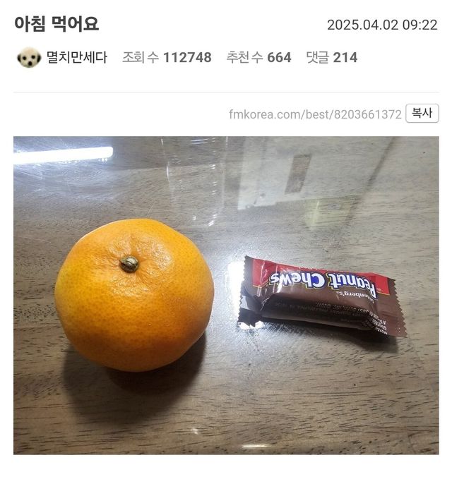 극과 극인 펨붕이들의 식사