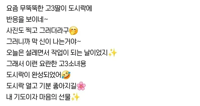 예고 다니는 딸을 위한 도시락