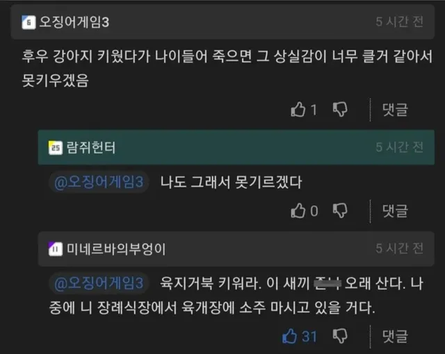 강아지 못키우겠다는 사람에게 제시한 해결책