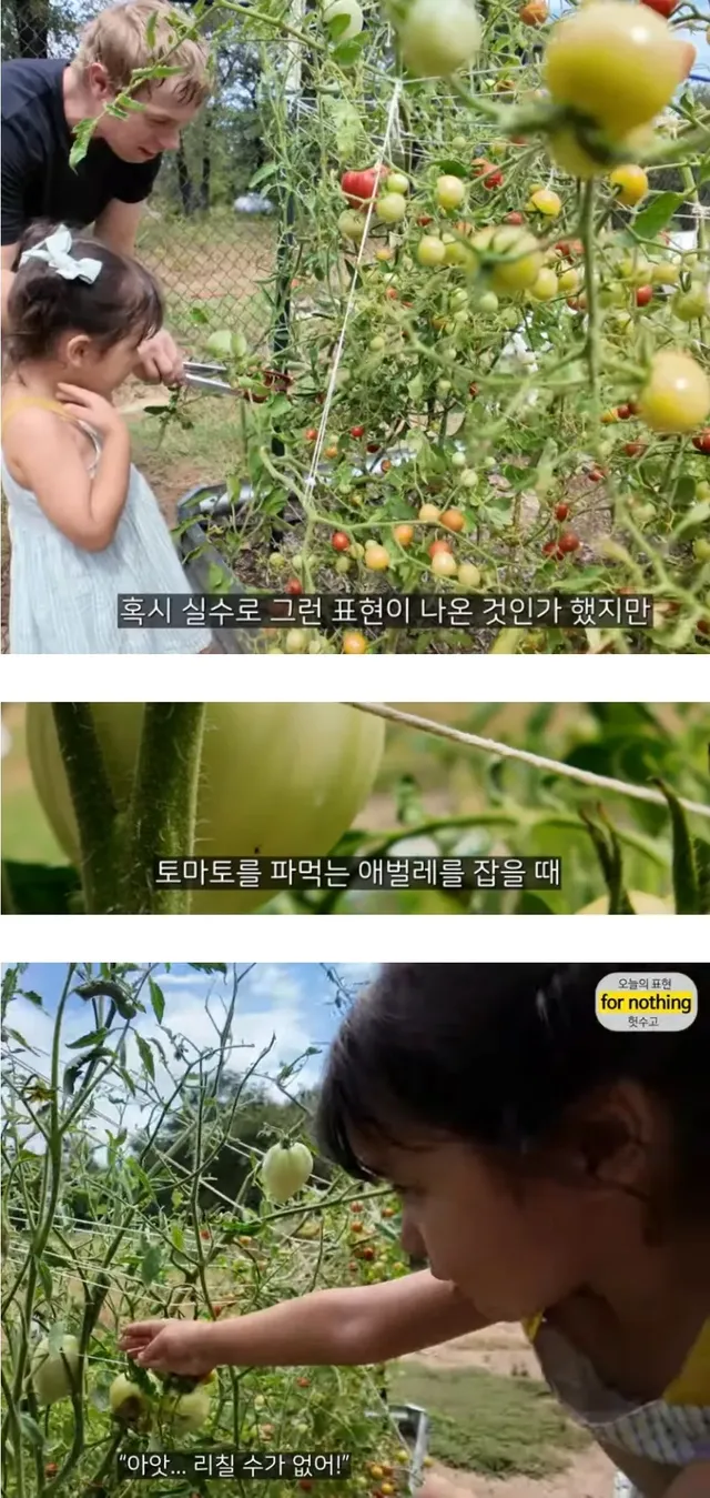 이중언어로 자녀를 키울때 주의할점