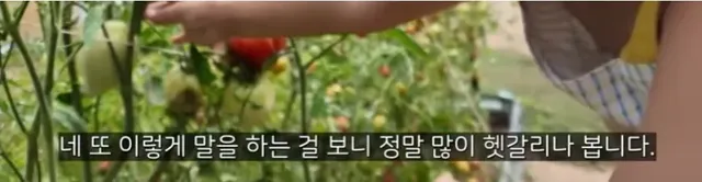 이중언어로 자녀를 키울때 주의할점