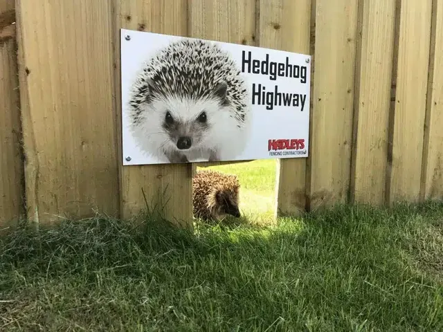 영국에선 고슴도치가 하두 많아 집 근처를 오고가다보니 이런 걸 만들어줌