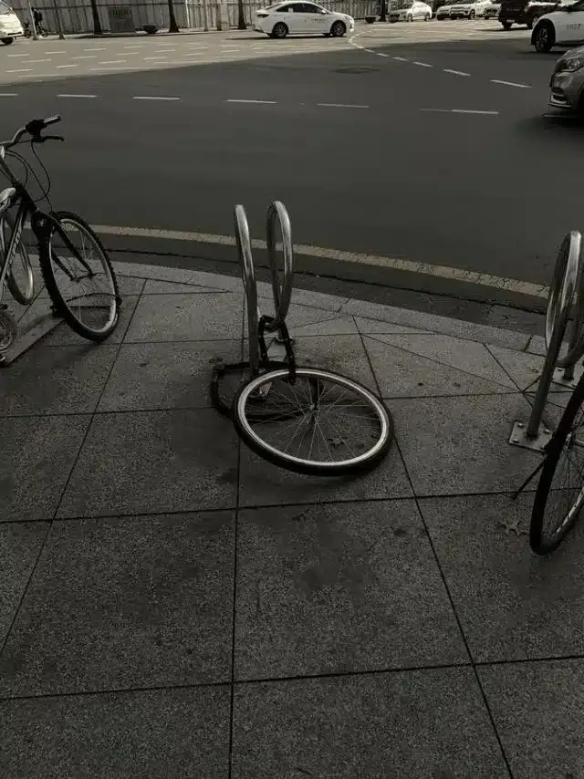 오우~ 이곳이 엄복동의 나라입니까?!