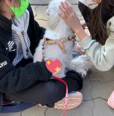 초딩에게 번호 따인 썰