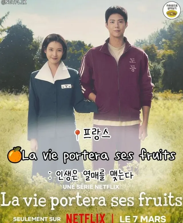 [폭싹 속았수다] 나라별 제목