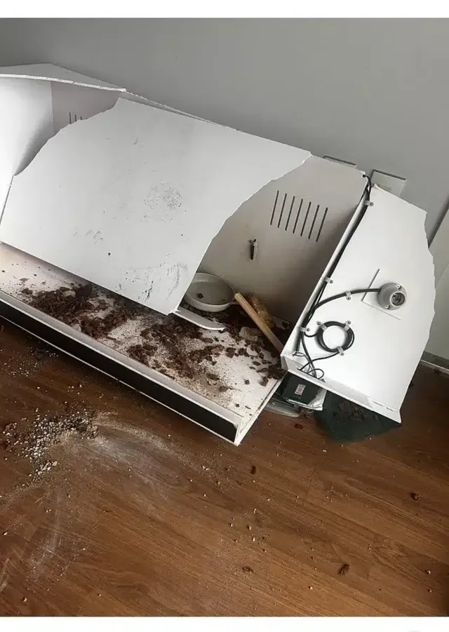 부모의 양육태도가 진짜 중요한 이유