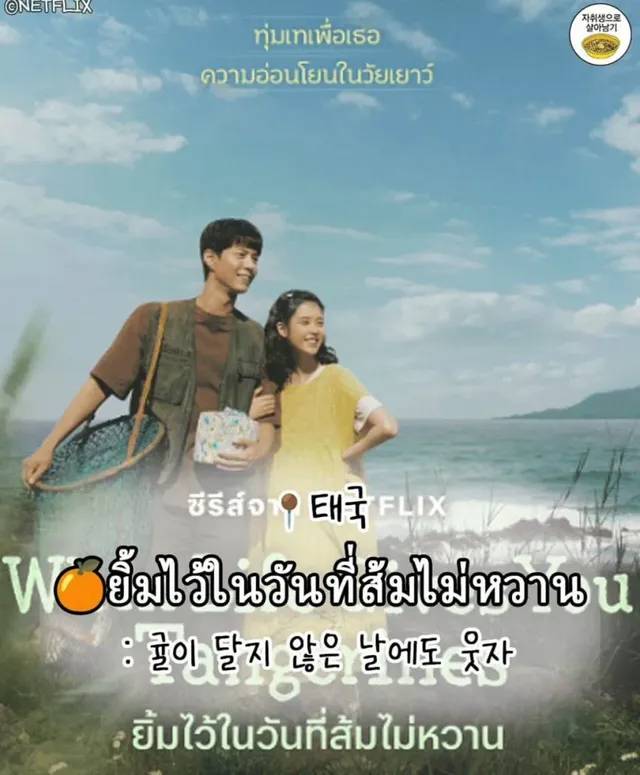 [폭싹 속았수다] 나라별 제목