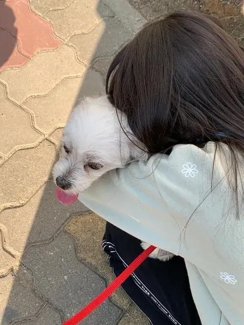 초딩에게 번호 따인 썰