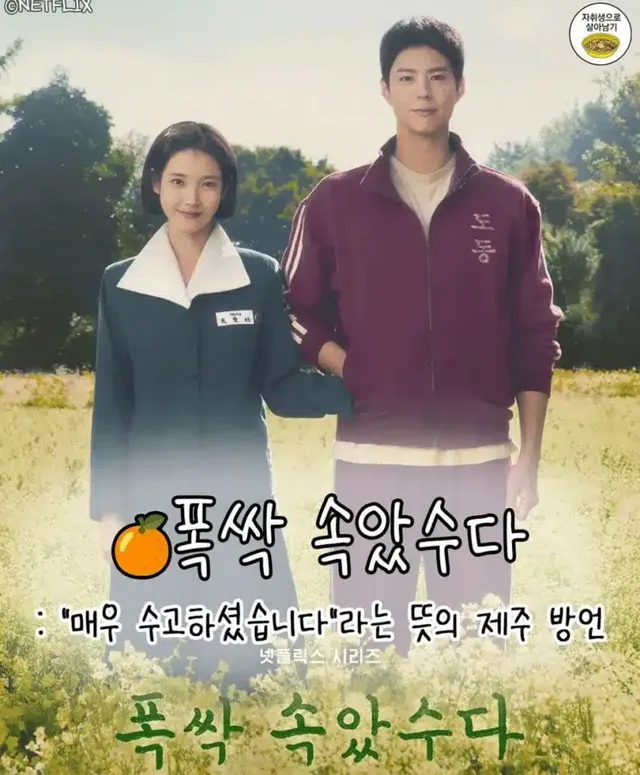 [폭싹 속았수다] 나라별 제목