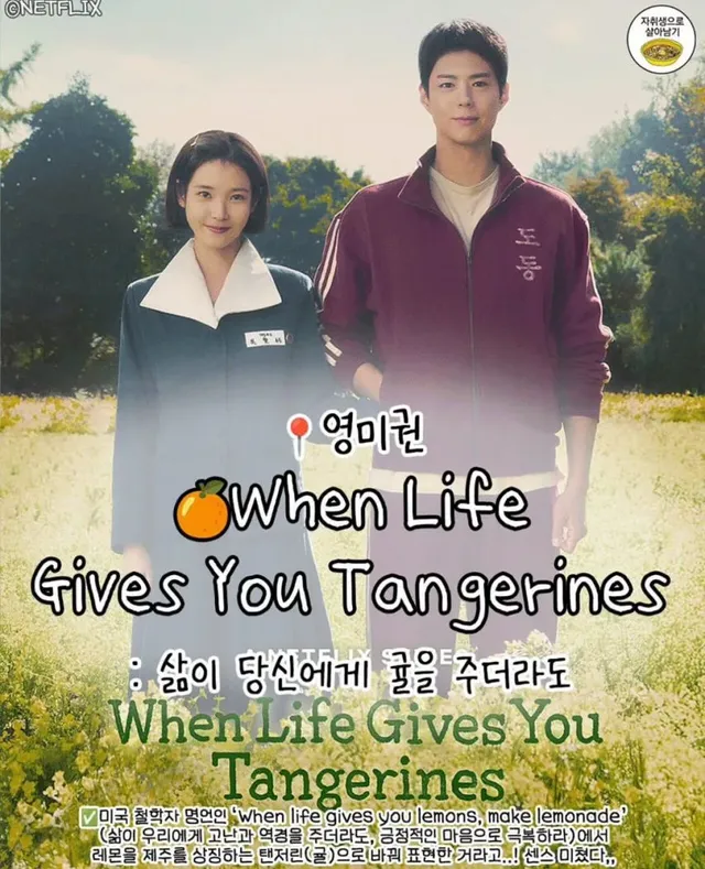 [폭싹 속았수다] 나라별 제목