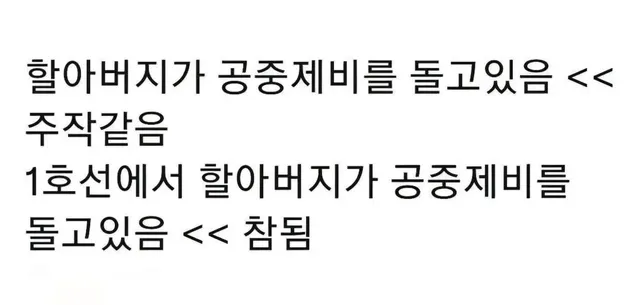 할아버지가 공중제비를 돌고있음 << 주작같음