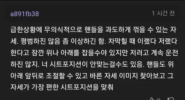 운전 이상하게 하는지 물어 보는 개붕이