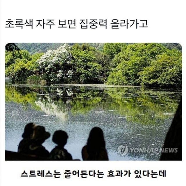 초록색을 보면 집중력이 올라가고 스트레스가 줄어 듭니다