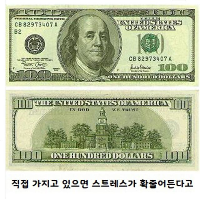 초록색을 보면 집중력이 올라가고 스트레스가 줄어 듭니다