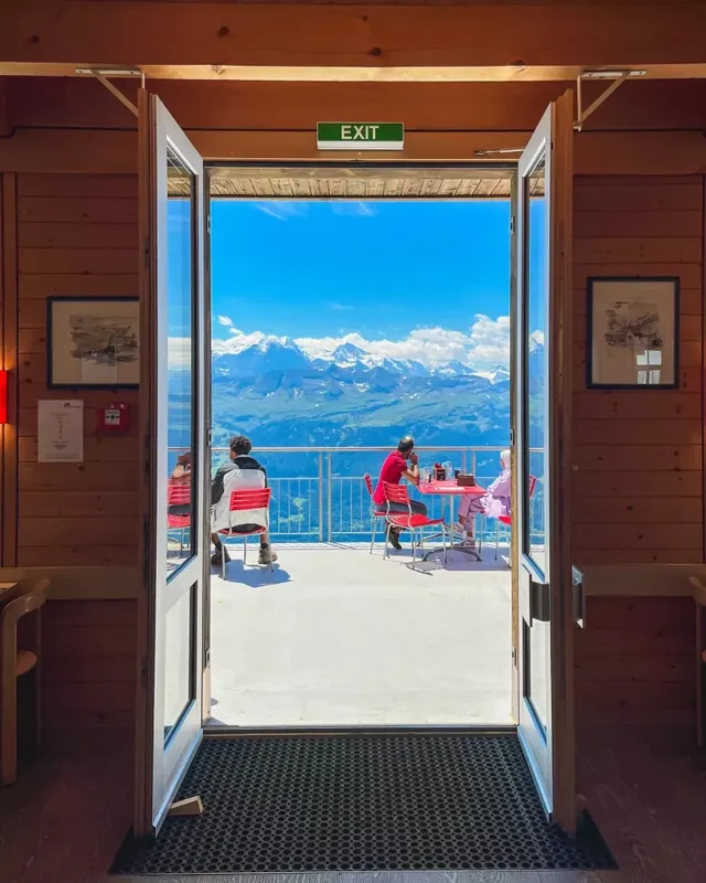 이게 한접시에 5만 8천원이지만 먹는다 vs 안먹는다