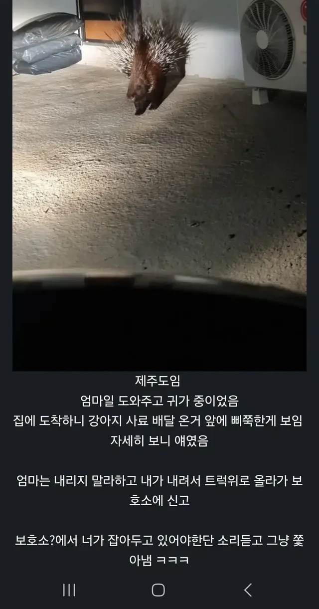 산미치광이 썰