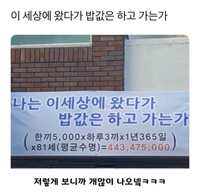 밥값은 하고 계신가요 ㅋㅋ