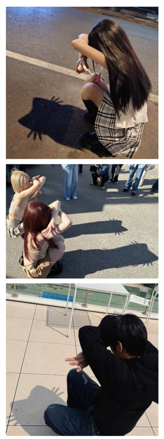 요즘 유행인 그림자 고양이 사진 찍기