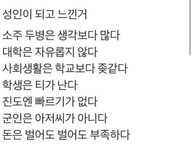 성인이 되고 느낀 것들