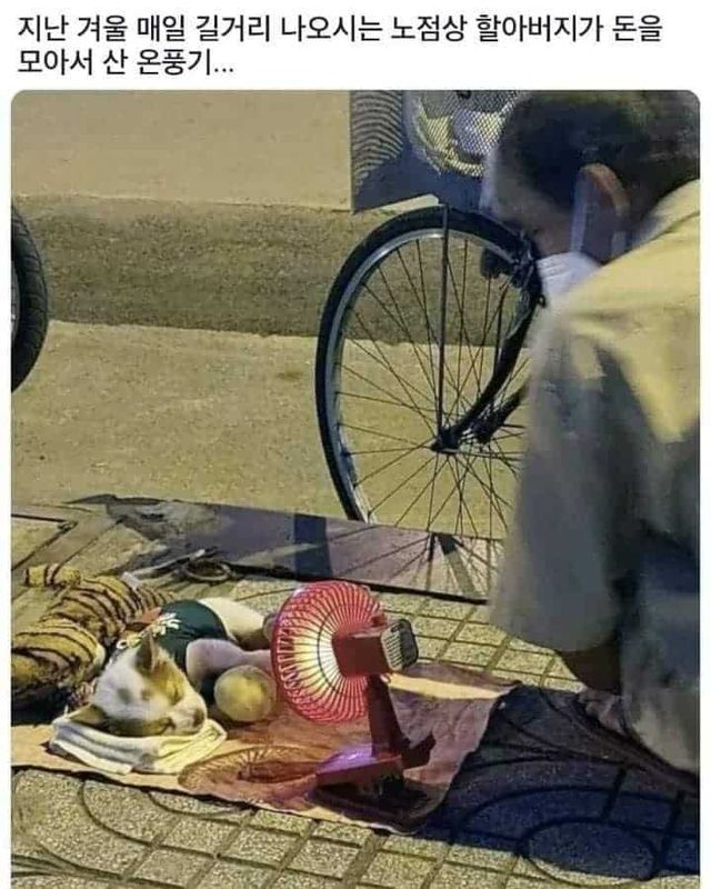 노점상 할아버지가 돈 모아서 온풍기 산 이유