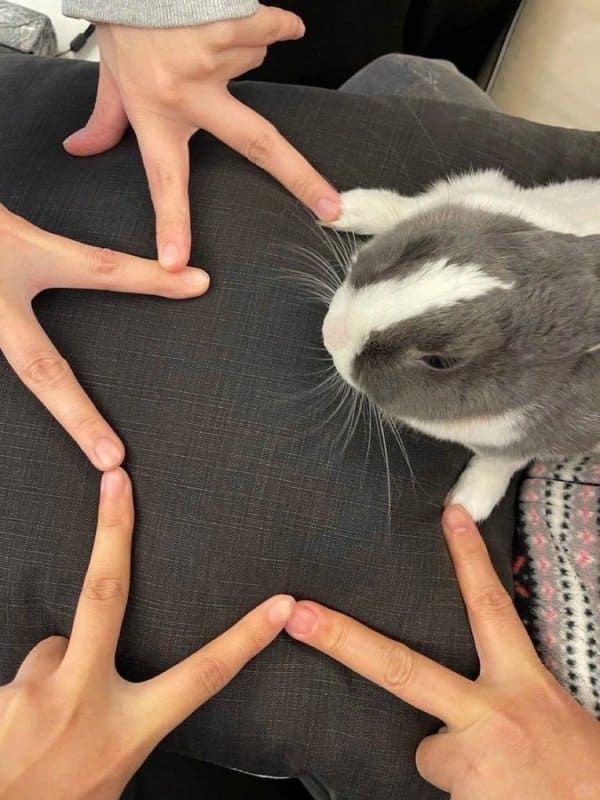 다섯이 모여서 하나의 별.