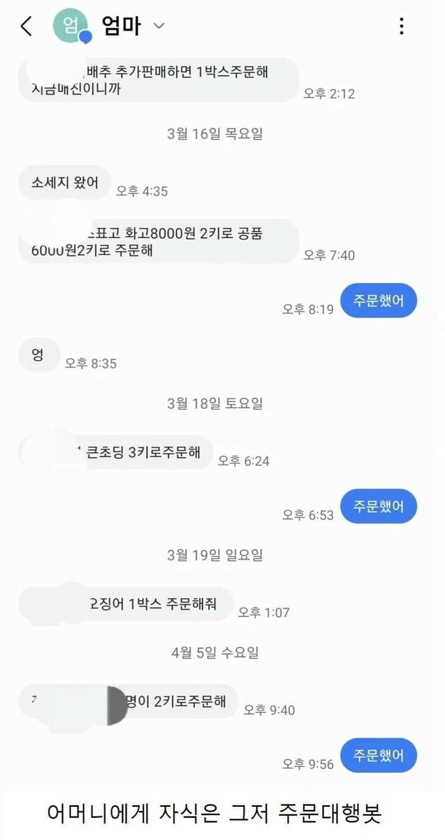 장성한 자식의 용도,아들