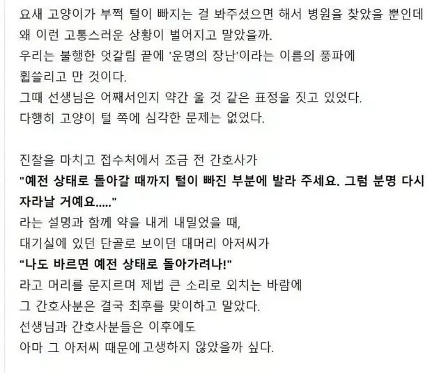 동물병원에서 일어난 일