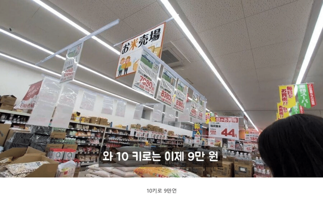 진짜 정신나간 일본쌀 가격 근황