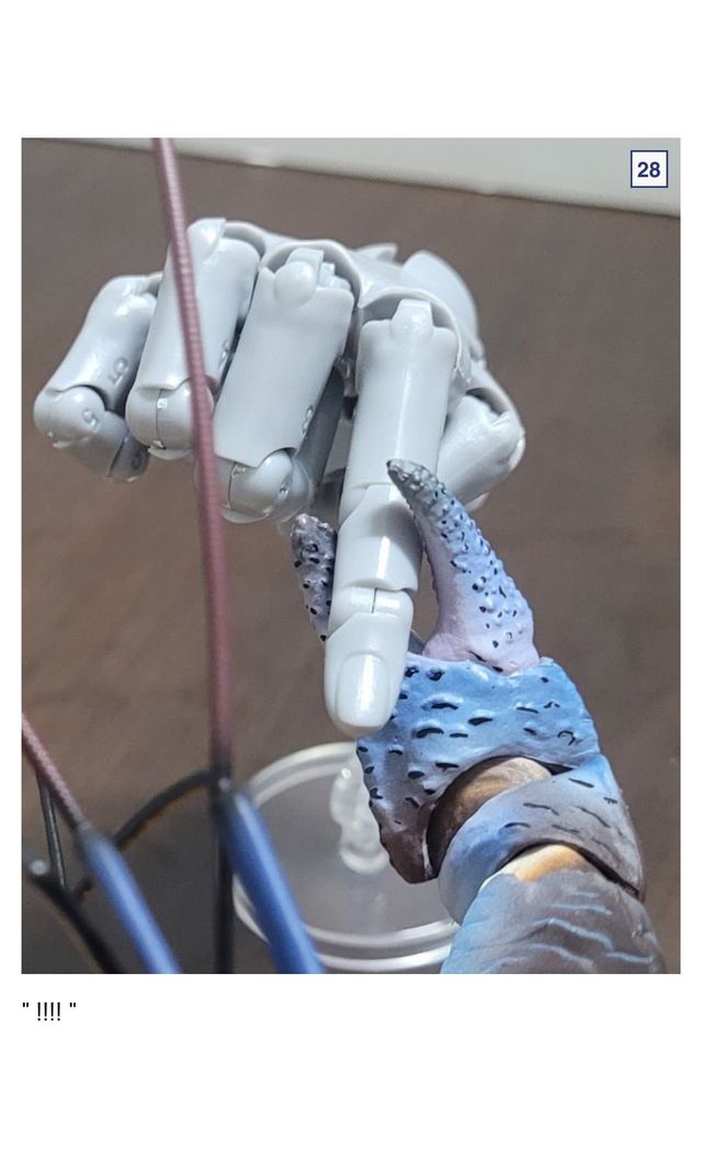 🦀싱글벙글 9만원짜리 코코넛 크랩.jpg