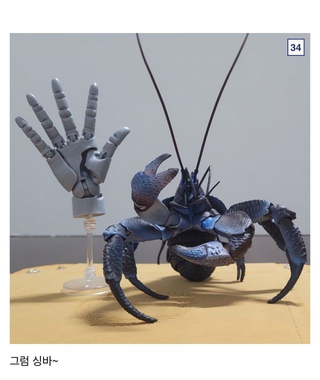 🦀싱글벙글 9만원짜리 코코넛 크랩.jpg