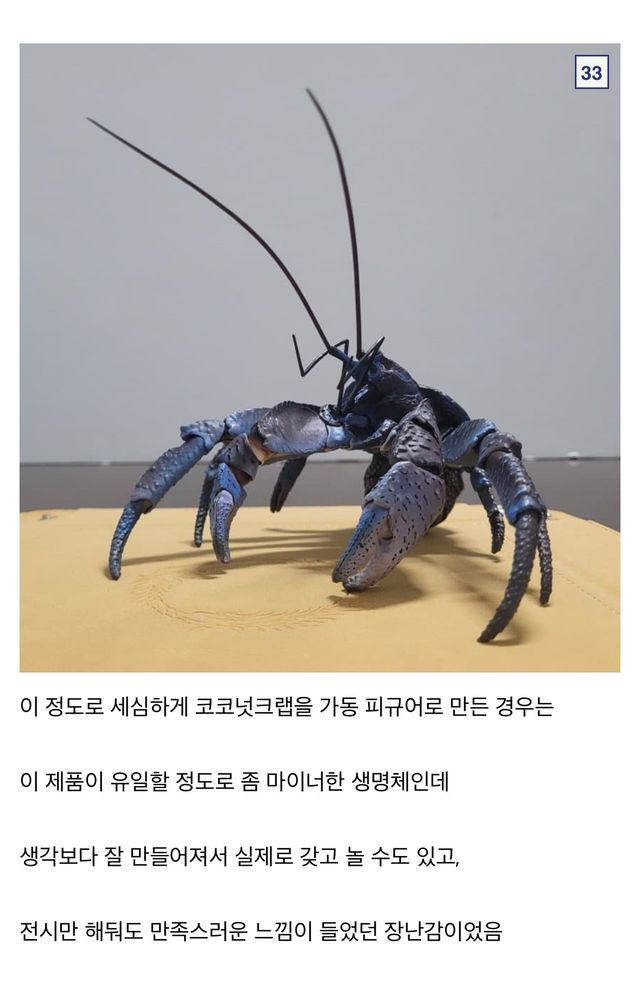 🦀싱글벙글 9만원짜리 코코넛 크랩.jpg
