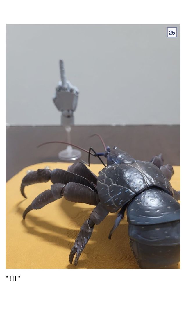 🦀싱글벙글 9만원짜리 코코넛 크랩.jpg